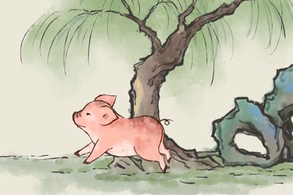生肖猪是哪几年出生的 猪年是怎么计算来的