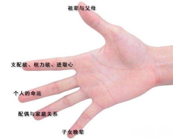 五根手指分别代表了什么含义,五根手指各有什么用处